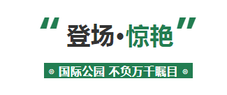 微信截图_20200928150846.png