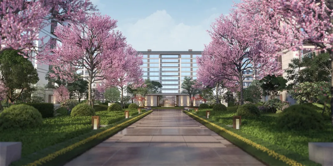 粘贴图片(2).png